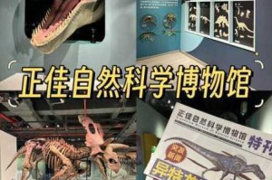 化石博物馆快速升级全攻略高效技巧助你轻松提升展馆等级