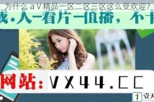 为什么 aⅤ精品一区二区三区这么受欢迎？