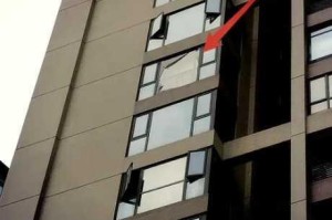 为什么-如何-怎样在 9 分 10 秒的视频中看到落地窗头撞玻璃的场景？