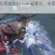 第五人格中究竟该如何巧妙溜渔女，全面解析溜渔女技巧与策略