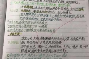 植物大战僵尸 2中强悍无比的铁桶海盗僵尸详细介绍