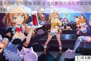 猫灵相册服饰收集指南 全途径解锁方法与获取攻略详解