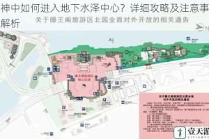 原神中如何进入地下水泽中心？详细攻略及注意事项全解析