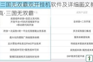 推荐真·三国无双霸双开挂机软件及详细图文教程：如何双开真·三国无双霸