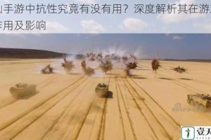 诛仙手游中抗性究竟有没有用？深度解析其在游戏中的作用及影响