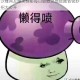 沙雕网友爆笑探秘每日必败之地隐藏省钱妙招大公开