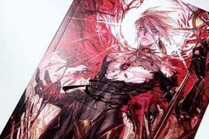 深度剖析 FGO 中圣诞迦尔纳的强度表现及相关特点