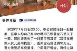 犯罪大师消失的蓝宝石失窃案真凶揭晓与作案手法全解析