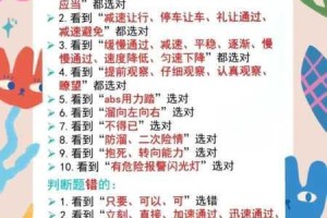 天天打波利通关攻略高效速通技巧与实用方法全解析