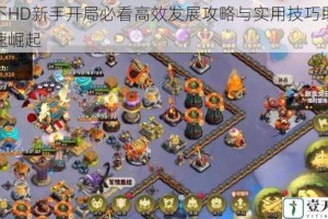 天下HD新手开局必看高效发展攻略与实用技巧助你快速崛起