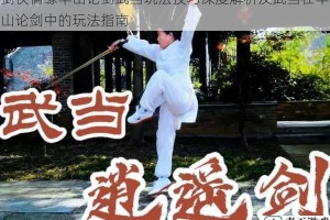 剑侠情缘华山论剑武当玩法技巧深度解析及武当在华山论剑中的玩法指南