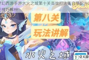 梦幻西游手游水火之域第十关高效打法阵容搭配与通关技巧解析