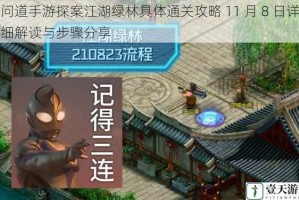 问道手游探案江湖绿林具体通关攻略 11 月 8 日详细解读与步骤分享