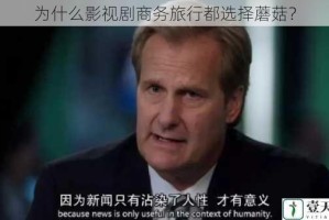 为什么影视剧商务旅行都选择蘑菇？
