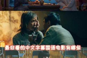 最好看的中文字幕从何而来？如何获取？