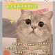 鸣潮帮小棠找猫任务全流程攻略 快速完成技巧与寻猫步骤详解