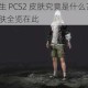 绝地求生 PCS2 皮肤究竟是什么？PCS2 奖励皮肤全览在此