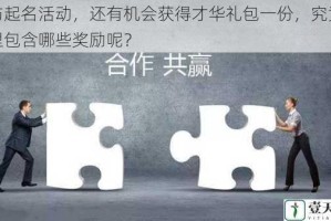 参与起名活动，还有机会获得才华礼包一份，究竟礼包里包含哪些奖励呢？