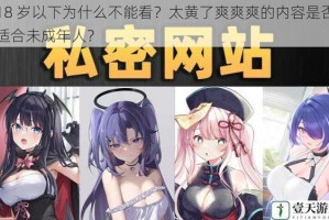 18 岁以下为什么不能看？太黄了爽爽爽的内容是否适合未成年人？