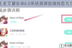 王者荣耀安卓6.0系统黑屏故障排查与修复步骤详解