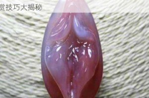 为什么极品女人的下部如此吸引人？如何欣赏 asS 极品女人的下部？asS 极品女人下部欣赏技巧大揭秘