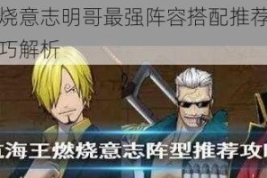 航海王燃烧意志明哥最强阵容搭配推荐角色组合与实战技巧解析