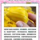 菠萝菠萝蜜视频观看 5：为什么我总是找不到？如何才能找到？