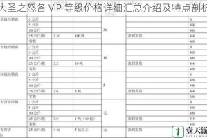 大圣之怒各 VIP 等级价格详细汇总介绍及特点剖析