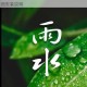 寻找合个大雨滴电脑版的下载地址并获取详细安装说明