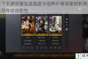 醉天下手游华雄实战强度与培养价值深度剖析其技能特性及阵容适配性
