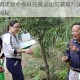 黑暗与光明手游中香料究竟该如何获取？详细香料获取方法大揭秘