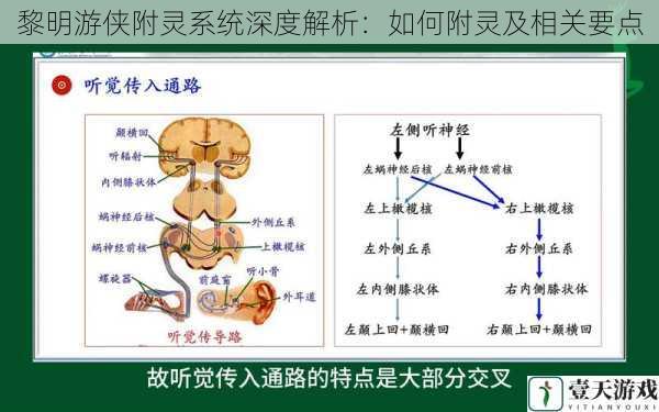 附灵的基本原理