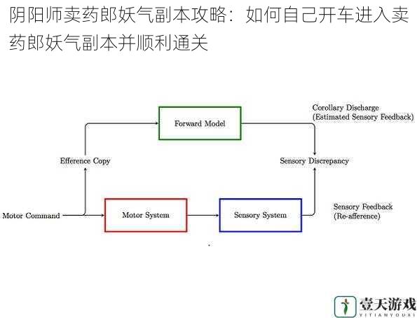 了解副本机制