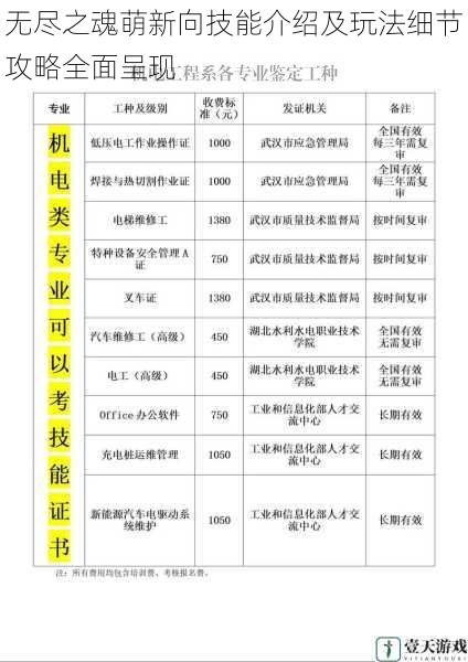 技能分类与特点