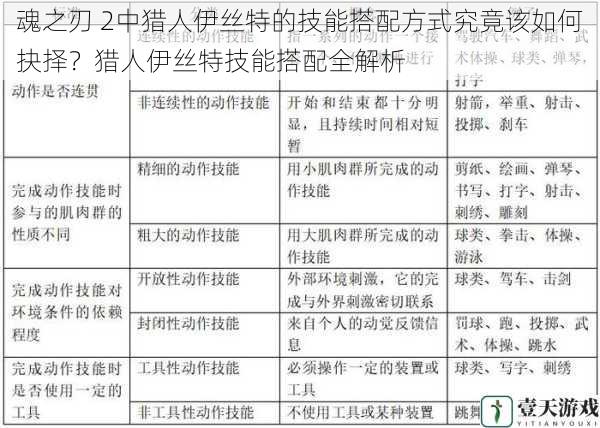 技能类型与特点