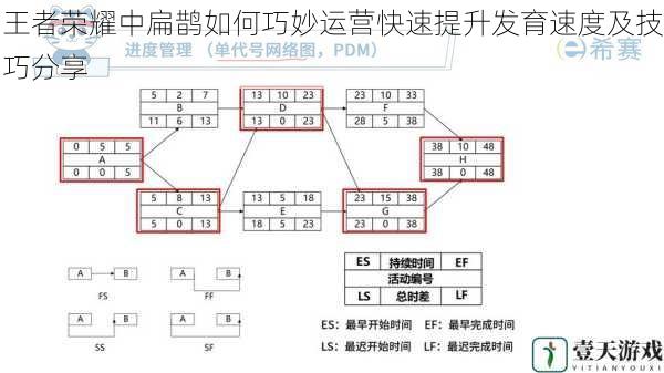 合理选择开局路线