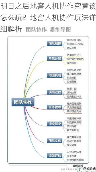 团队搭配与分工