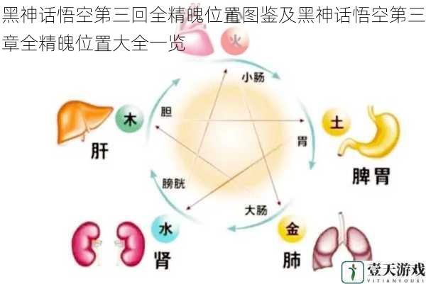 精魄分布的区域特点