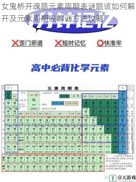 了解元素周期表的基本结构