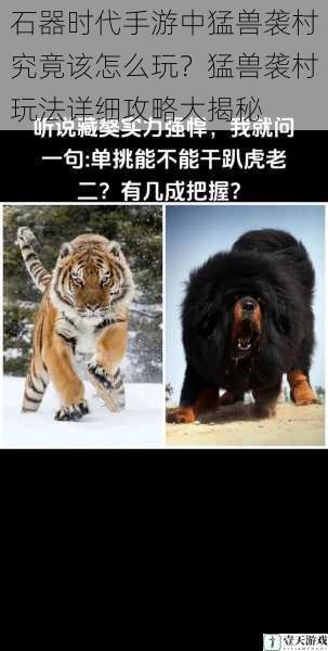 了解猛兽习性