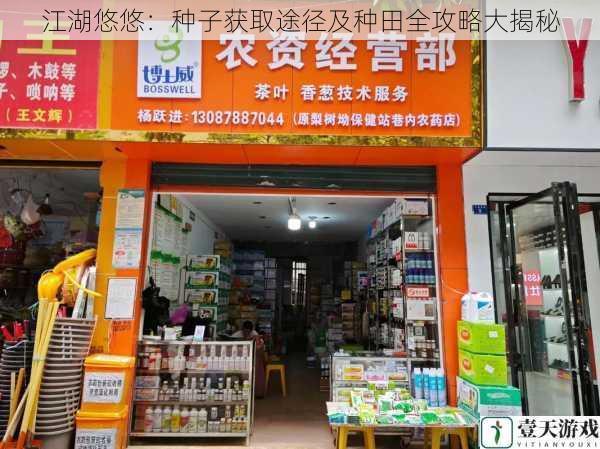 种子商店购买