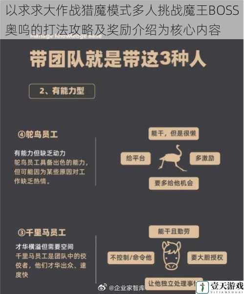 团队配置与角色选择