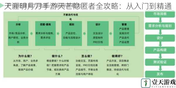 角色定位与技能解析