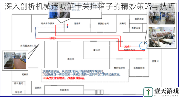 观察布局，制定整体规划