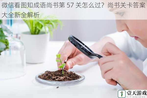 观察图片细节