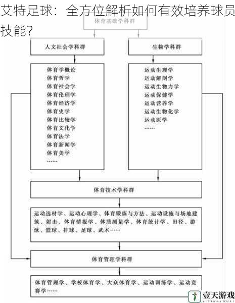 科学训练体系