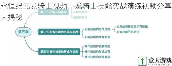 技能展示与特点