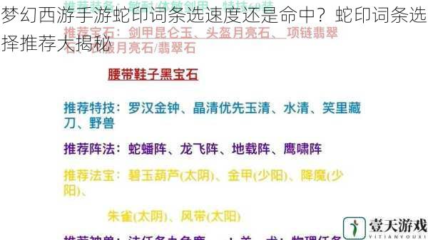 梦幻西游手游蛇印词条选速度还是命中？蛇印词条选择推荐大揭秘