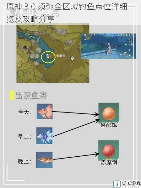 原神 3.0 须弥全区域钓鱼点位详细一览及攻略分享