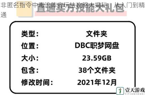 非匿名指令中毒流阵容玩法攻略大揭秘：从入门到精通